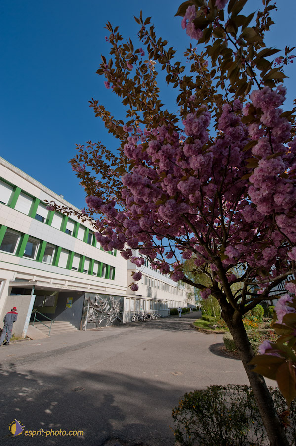 Nom de l'image : D30102036a_(c)Norbert-JUNG.com — Description :